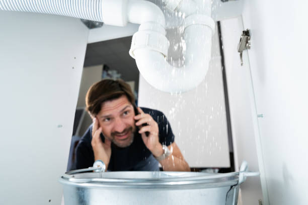 Best Commercial Plumbing Services  in Brownsville, FL