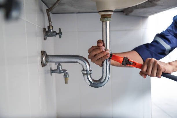 Best Commercial Plumbing Services  in Brownsville, FL