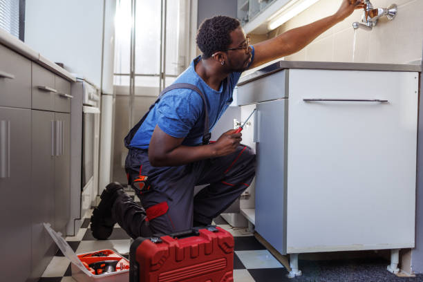 Best Toilet Repair Services  in Brownsville, FL
