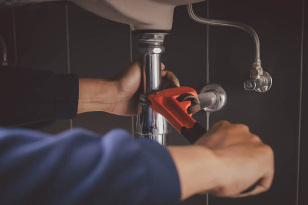 Best Residential Plumbing Services  in Brownsville, FL